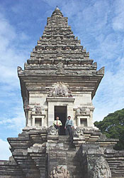 visitor open daily