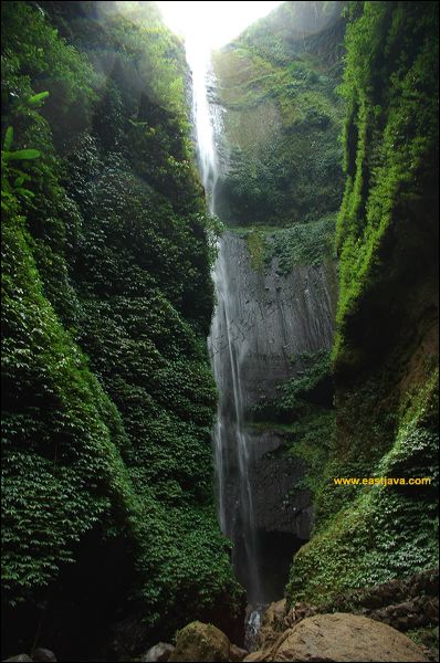 Madakaripura Waterfall - Probolinggo Tourism