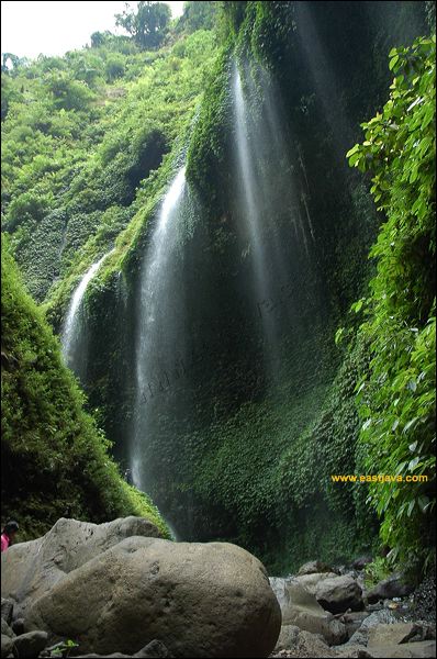 Madakaripura Waterfall Tourism