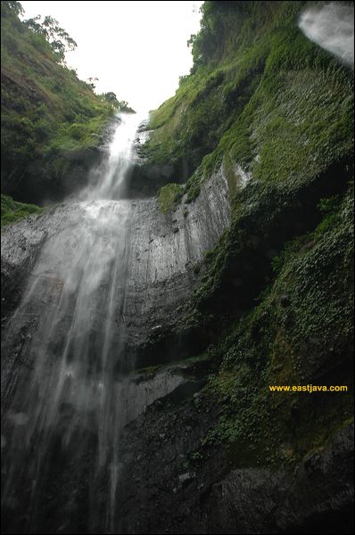 The Scenery of Madakaripura Waterfall