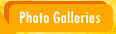 Photo Galleries