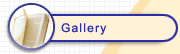 Our Gallery