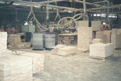 sanding.jpg (14336 bytes)