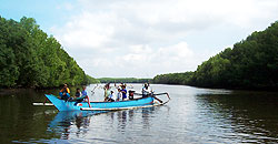 banyuwangi