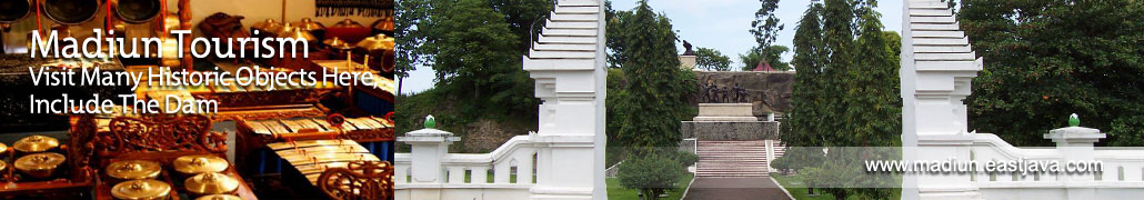 pic3