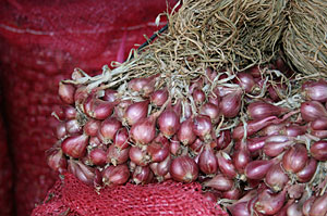 Nganjuk