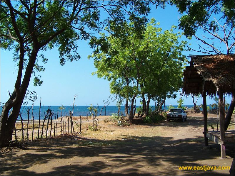 Wisata Pantai Pathek Situbondo Seringkali Dikunjungi