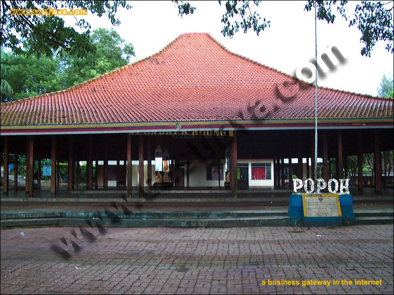 Popoh Beach Tourism Is Famous Beach In Tulungagung That Offer Its Beautiful And Nature Scenery