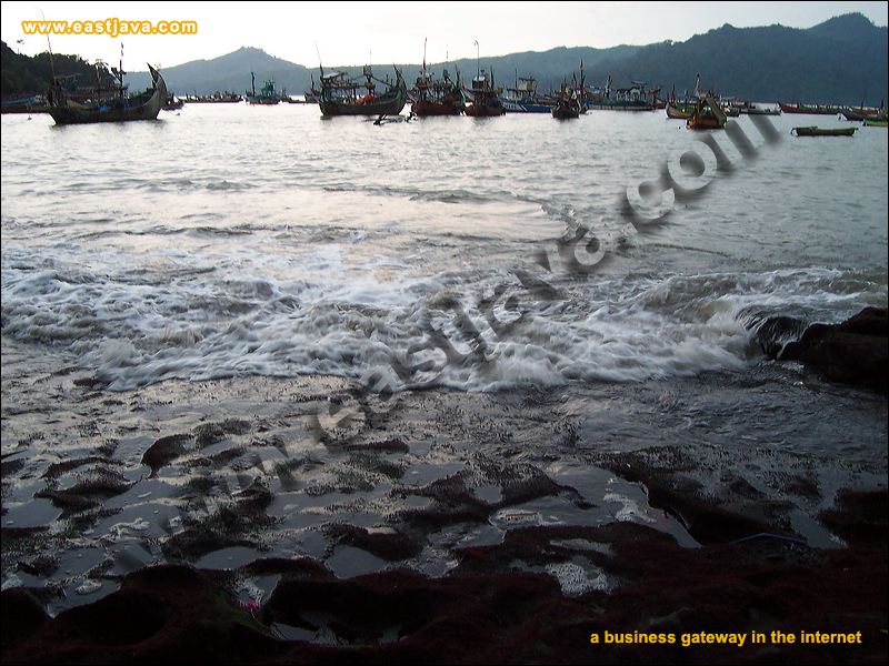 Popoh Beach Tulungagung