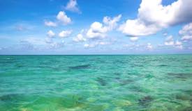 img/gallery/noko_island/Noko_Island_9.jpg