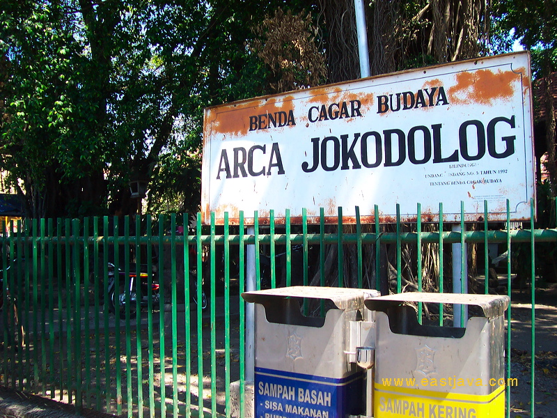 joko-dolog-06.jpg