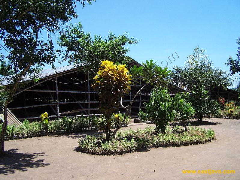 kedaton_temple_09.jpg