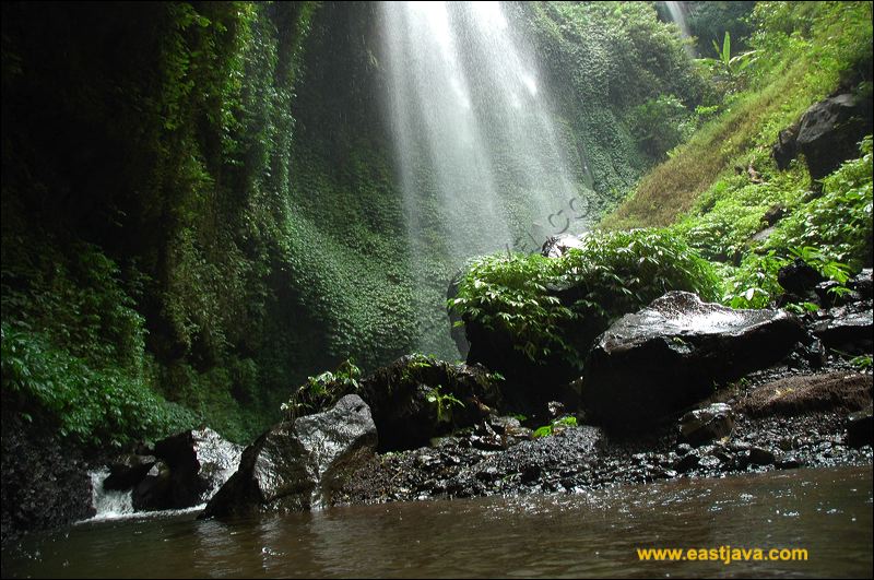 Clean Water In Madakaripura Waterfall