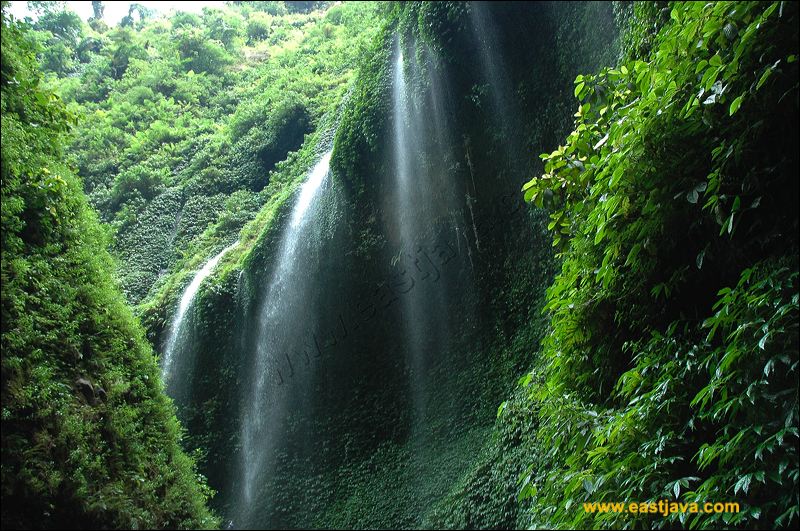 SceneryÔøΩ Around Madakaripura Waterfall