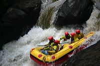 img_0081