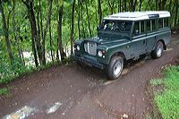 img_0175