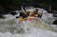 img_0631