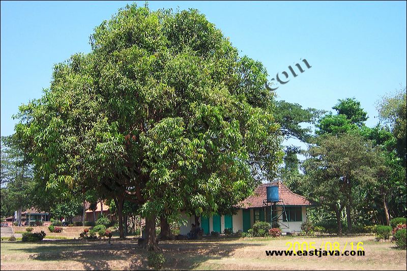 Bajang Ratu Temple - Bajangratu Temple - Candi Bajang Ratu - Mojopahit Temple