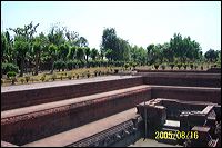 tikus-temple3