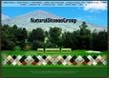 Natural Stones Group  (www.naturalstonesgroup.com)