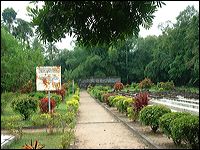 Surowono Temple in Kediri Regency