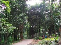 jolotundo07