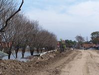 lapindo-32