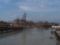 lapindo-37
