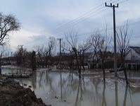 lapindo-53