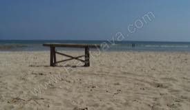 galleries/delegan_beach/preview/delegan_beach_01.jpg