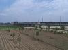 galleries/babat_barrage/preview/babat_barrage_06.jpg