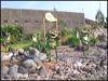 galleries/marine-tourism/preview/marine_tourism_022.jpg