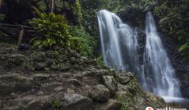 ../images/gallery/tirtosari/tirtasari-waterfall-wonomulyo-1.jpg