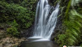 images/gallery/tirtosari/tirtasari-waterfall-wonomulyo-3.jpg
