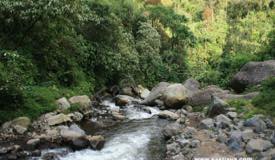 ../images/gallery/coban-pelangi/coban_pelangi_14.jpg