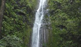 ../images/gallery/sedudo1/Sedudo_Waterfall_12.jpg