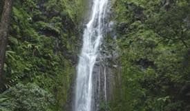 ../images/gallery/sedudo1/Sedudo_Waterfall_12.jpg