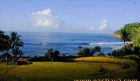 images/gallery/kali-uluh/kali-uluh-beach-pacitan-east-java-6.jpg