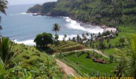 images/gallery/kali-uluh/kali-uluh-beach-pacitan-east-java-8.jpg