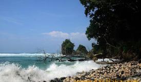 images/gallery/kuncir/kuncir-beach-pacitan-east-java-2.jpg