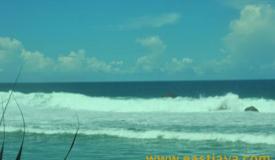 images/gallery/pidakan/pidakan-beach-pacitan-east-java-5.jpg