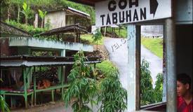 ../images/gallery/tabuhan/gua-tabuhan-01.jpg