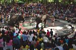 taman_safari_ii_29