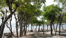 images/gallery/gili-ketapang/gili_ketapang_island_25.jpg