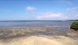 images/gallery/bama/Pantai_Bama_5.jpg