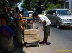 images/gallery/peneleh_fruit_market/peneleh-fruit-market-12.jpg