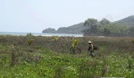 images/gallery/pelang/pelang_beach_05.jpg