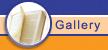 Our Gallery