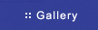 Our Gallery