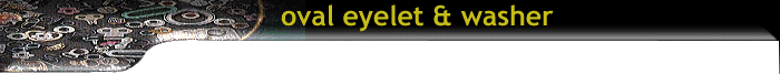 ovaleye.gif (19220 bytes)